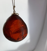 Amber Pendant Insect Inclusions 14k Gold Fine Curb Link Chain COA