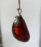 Amber Pendant Insect Inclusions 14k Gold Fine Curb Link Chain COA
