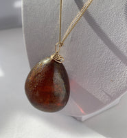 Amber Pendant Insect Inclusions 14k Gold Fine Curb Link Chain COA