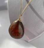 Amber Pendant Insect Inclusions 14k Gold Fine Curb Link Chain COA