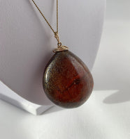 Amber Pendant Insect Inclusions 14k Gold Fine Curb Link Chain COA