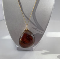Amber Pendant Insect Inclusions 14k Gold Fine Curb Link Chain COA