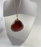 Amber Pendant Insect Inclusions 14k Gold Fine Curb Link Chain COA