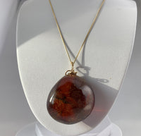 Amber Pendant Insect Inclusions 14k Gold Fine Curb Link Chain COA