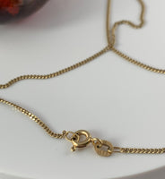Amber Pendant Insect Inclusions 14k Gold Fine Curb Link Chain COA
