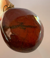 Amber Pendant Insect Inclusions 14k Gold Fine Curb Link Chain COA